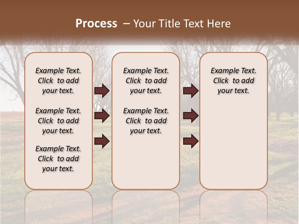 Photography Farm Trees PowerPoint Template