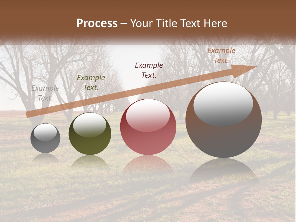 Photography Farm Trees PowerPoint Template