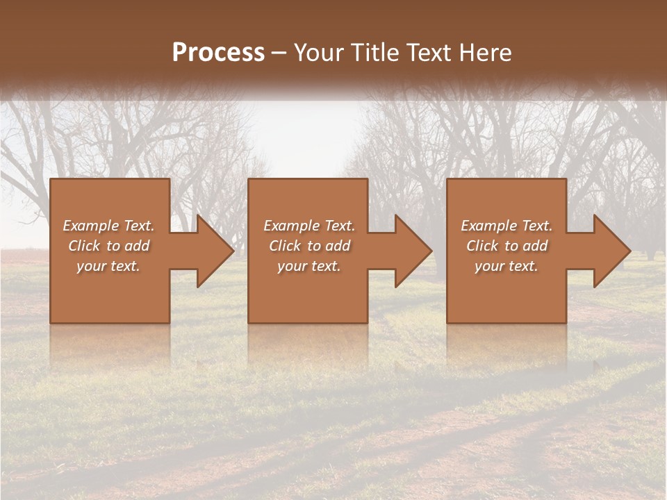 Photography Farm Trees PowerPoint Template