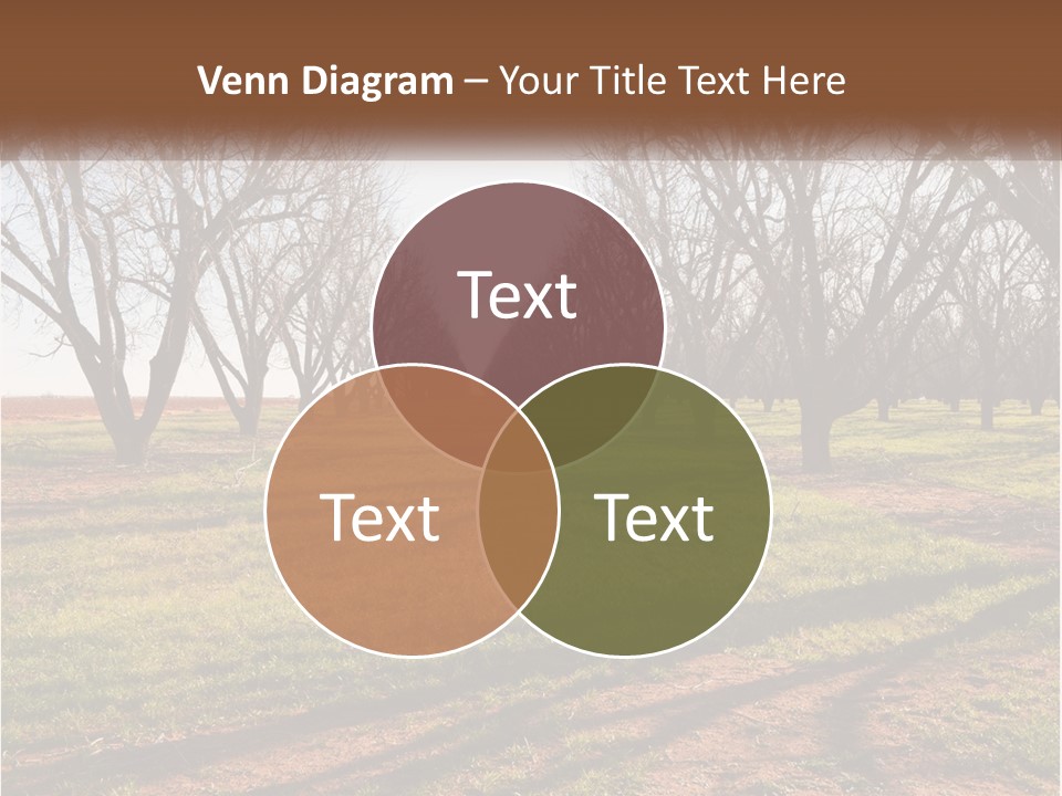 Photography Farm Trees PowerPoint Template