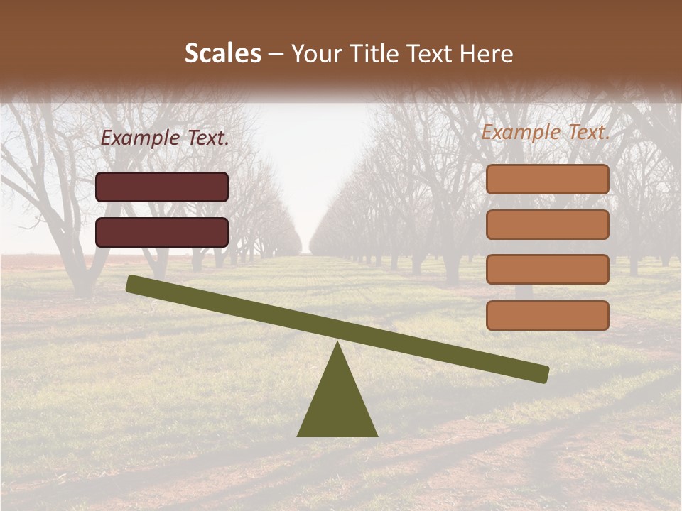 Photography Farm Trees PowerPoint Template