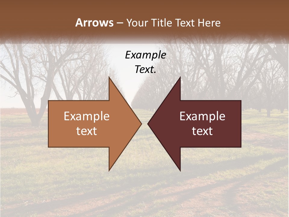 Photography Farm Trees PowerPoint Template