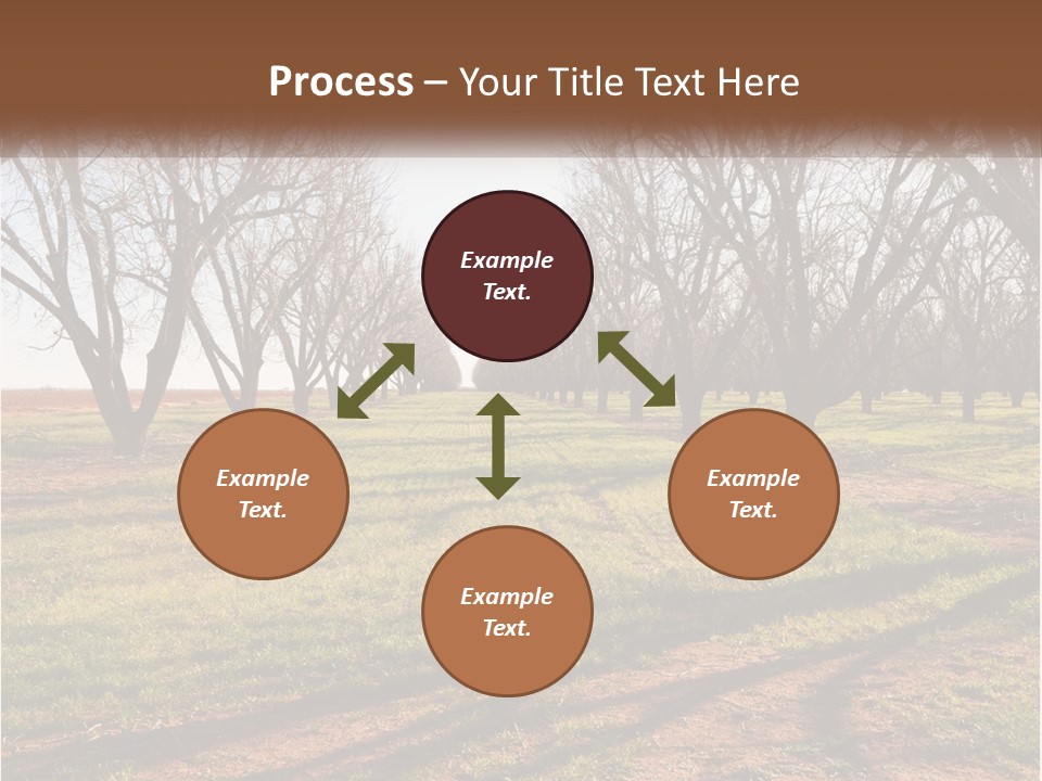 Photography Farm Trees PowerPoint Template