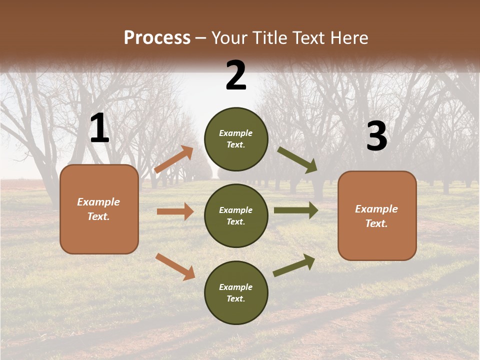 Photography Farm Trees PowerPoint Template