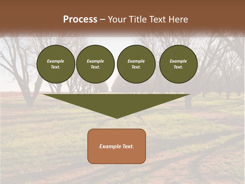 Photography Farm Trees PowerPoint Template