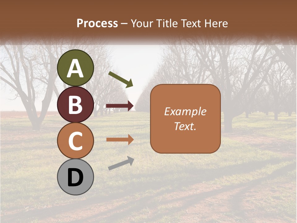 Photography Farm Trees PowerPoint Template