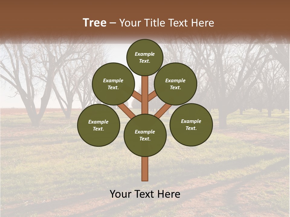 Photography Farm Trees PowerPoint Template