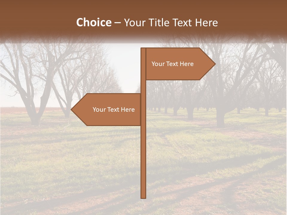 Photography Farm Trees PowerPoint Template