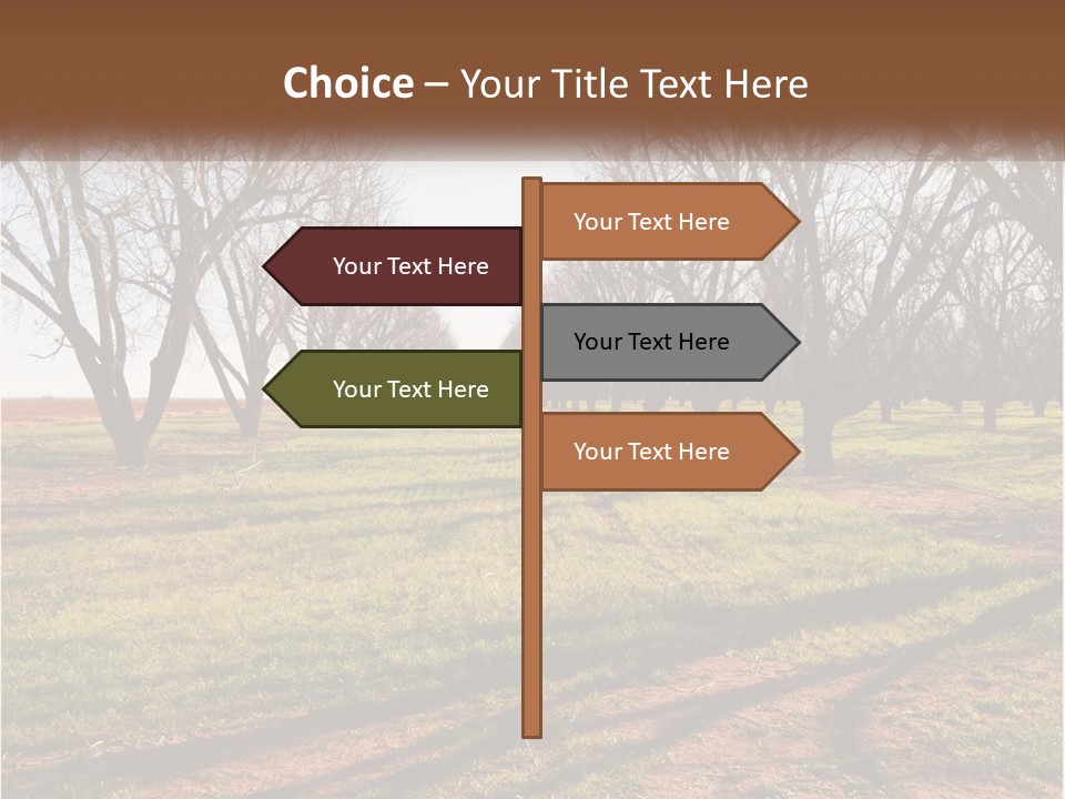 Photography Farm Trees PowerPoint Template