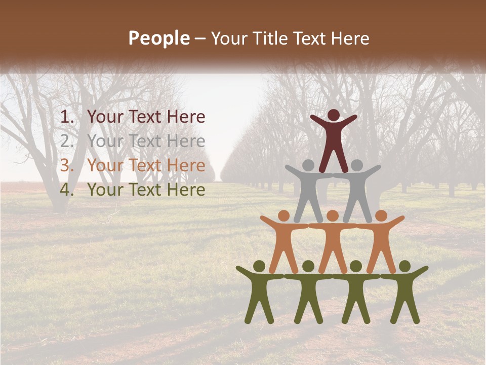 Photography Farm Trees PowerPoint Template