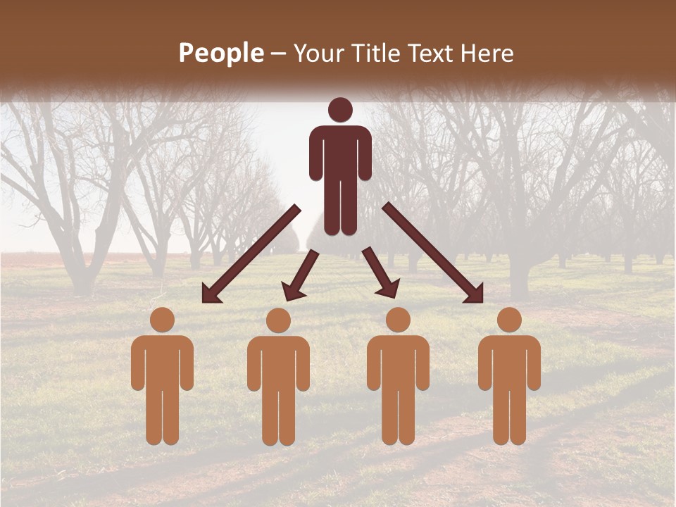 Photography Farm Trees PowerPoint Template