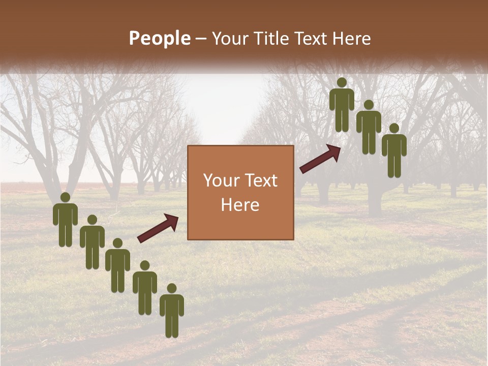 Photography Farm Trees PowerPoint Template