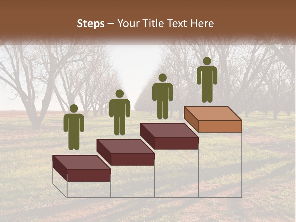 Photography Farm Trees PowerPoint Template