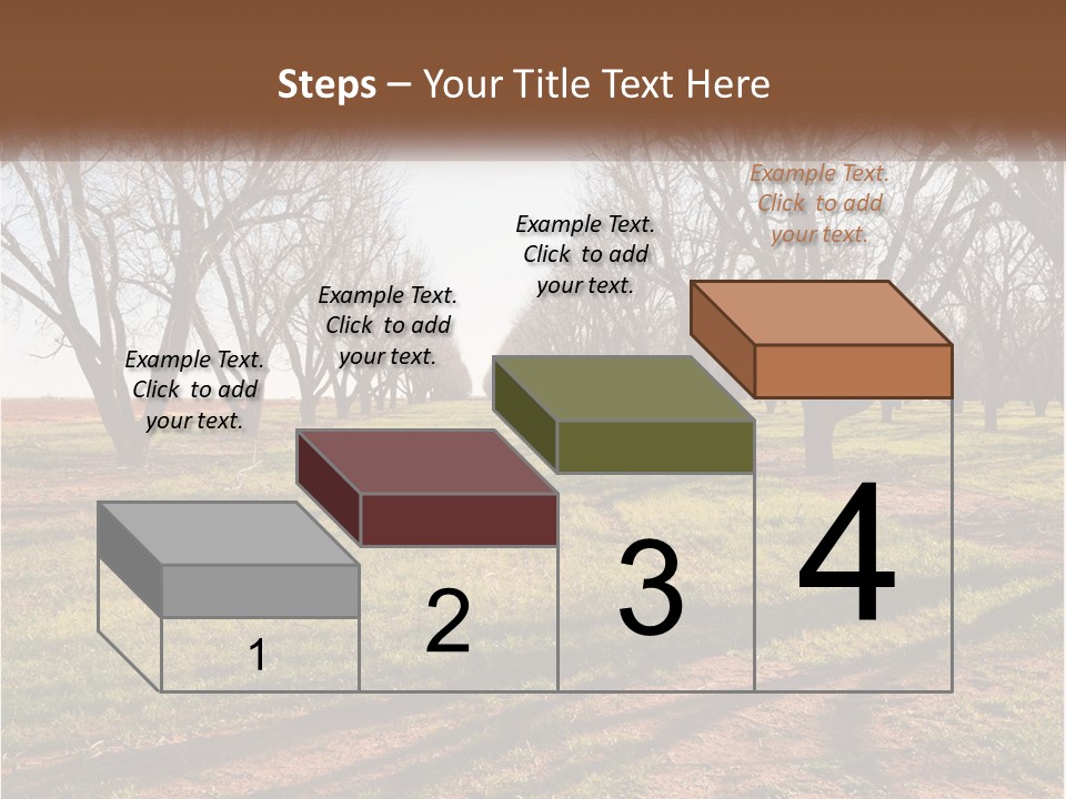 Photography Farm Trees PowerPoint Template