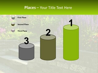 Plant Exterior Backyard PowerPoint Template