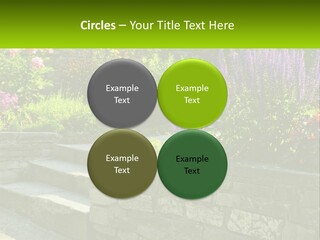 Plant Exterior Backyard PowerPoint Template