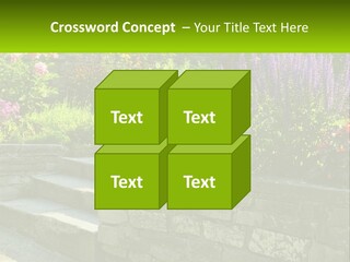 Plant Exterior Backyard PowerPoint Template