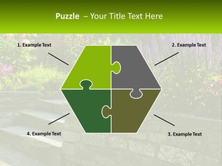 Plant Exterior Backyard PowerPoint Template