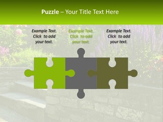 Plant Exterior Backyard PowerPoint Template