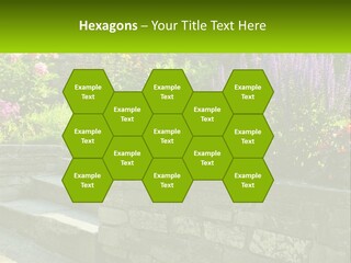 Plant Exterior Backyard PowerPoint Template
