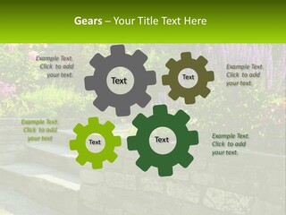 Plant Exterior Backyard PowerPoint Template