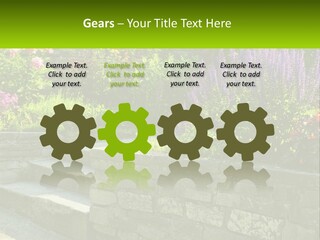 Plant Exterior Backyard PowerPoint Template