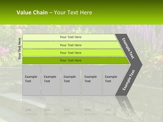 Plant Exterior Backyard PowerPoint Template