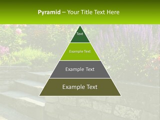 Plant Exterior Backyard PowerPoint Template