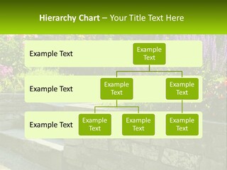 Plant Exterior Backyard PowerPoint Template