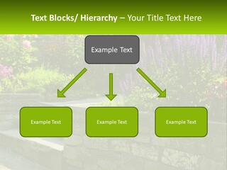 Plant Exterior Backyard PowerPoint Template