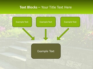 Plant Exterior Backyard PowerPoint Template