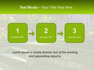 Plant Exterior Backyard PowerPoint Template