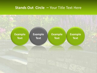 Plant Exterior Backyard PowerPoint Template