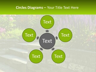 Plant Exterior Backyard PowerPoint Template