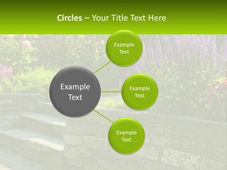 Plant Exterior Backyard PowerPoint Template