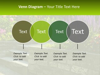 Plant Exterior Backyard PowerPoint Template