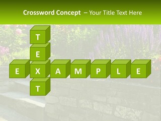 Plant Exterior Backyard PowerPoint Template