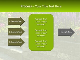 Plant Exterior Backyard PowerPoint Template