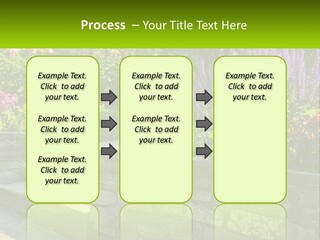Plant Exterior Backyard PowerPoint Template