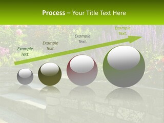 Plant Exterior Backyard PowerPoint Template