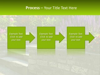 Plant Exterior Backyard PowerPoint Template