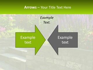 Plant Exterior Backyard PowerPoint Template