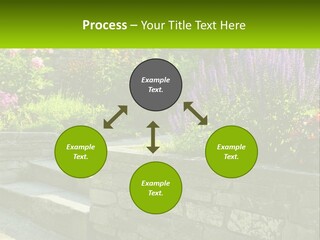 Plant Exterior Backyard PowerPoint Template