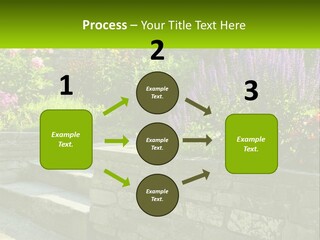 Plant Exterior Backyard PowerPoint Template
