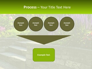 Plant Exterior Backyard PowerPoint Template