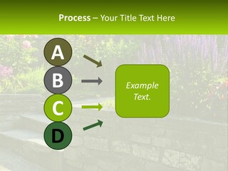 Plant Exterior Backyard PowerPoint Template