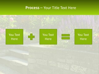 Plant Exterior Backyard PowerPoint Template
