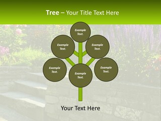Plant Exterior Backyard PowerPoint Template