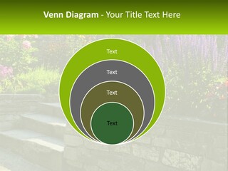 Plant Exterior Backyard PowerPoint Template