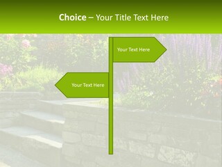 Plant Exterior Backyard PowerPoint Template